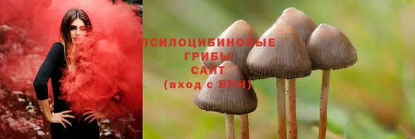 соль курить ск Абаза