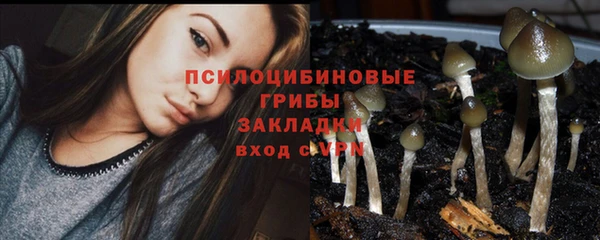 соль курить ск Абаза
